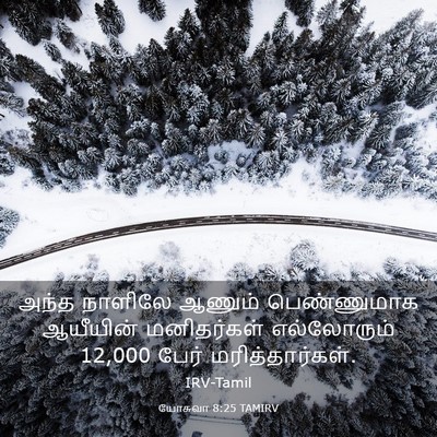 Picture 03 - யோசுவா 8:25 TAMIRV - அந்த நாளிலே ஆணும் - Bible Verse Picture