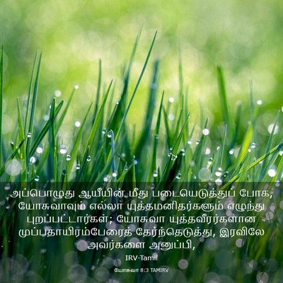 Picture 03 - யோசுவா 8:3 TAMIRV - அப்பொழுது ஆயீயின் - Bible Verse Picture