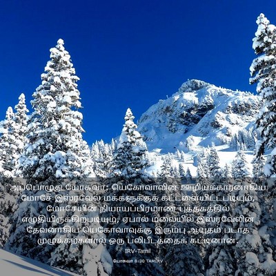 Picture 03 - யோசுவா 8:30 TAMIRV - அப்பொழுது யோசுவா: - Bible Verse Picture