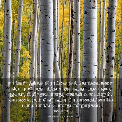 Picture 03 - யோசுவா 9:13 TAMIRV - நாங்கள் இந்தத் - Bible Verse Picture