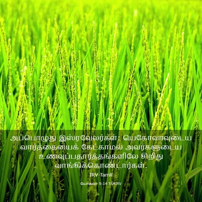 Picture 03 - யோசுவா 9:14 TAMIRV - அப்பொழுது - Bible Verse Picture