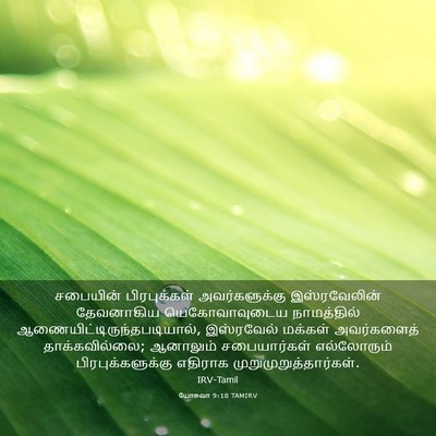 Picture 03 - யோசுவா 9:18 TAMIRV - சபையின் - Bible Verse Picture