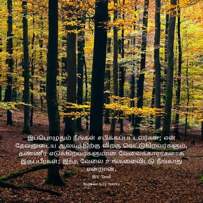Picture 03 - யோசுவா 9:23 TAMIRV - இப்பொழுதும் - Bible Verse Picture