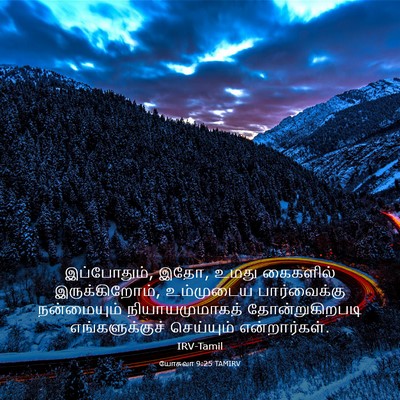 Picture 03 - யோசுவா 9:25 TAMIRV - இப்போதும், இதோ, - Bible Verse Picture