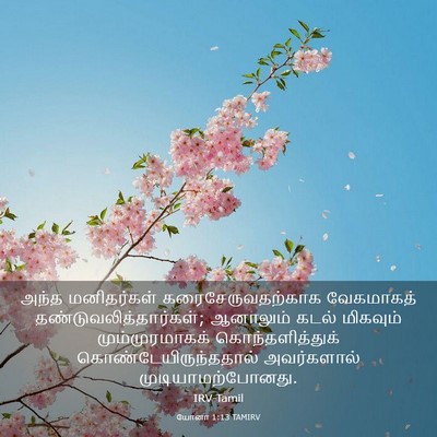 Picture 03 - யோனா 1:13 TAMIRV - அந்த மனிதர்கள் - Bible Verse Picture