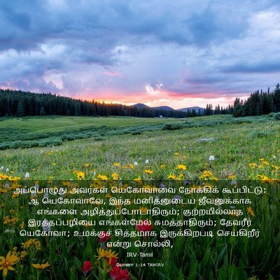 Picture 03 - யோனா 1:14 TAMIRV - அப்பொழுது அவர்கள் - Bible Verse Picture