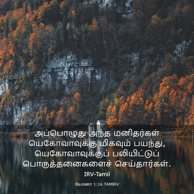 Picture 03 - யோனா 1:16 TAMIRV - அப்பொழுது அந்த - Bible Verse Picture