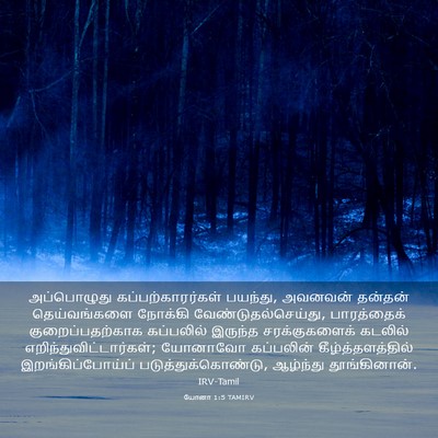 Picture 03 - யோனா 1:5 TAMIRV - அப்பொழுது - Bible Verse Picture
