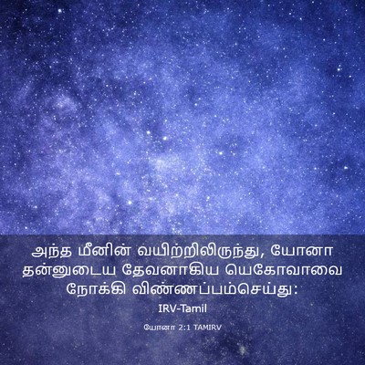 Picture 03 - யோனா 2:1 TAMIRV - அந்த மீனின் - Bible Verse Picture