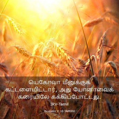 Picture 03 - யோனா 2:10 TAMIRV - யெகோவா மீனுக்குக் - Bible Verse Picture