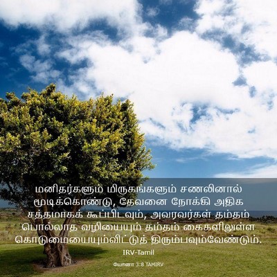 Picture 03 - யோனா 3:8 TAMIRV - மனிதர்களும் - Bible Verse Picture