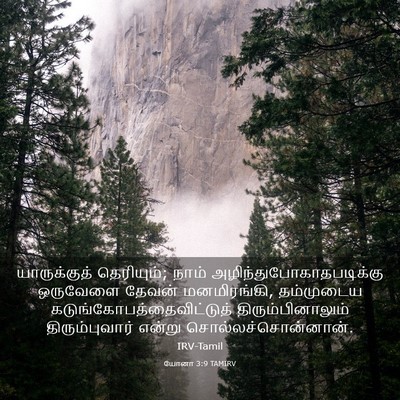 Picture 03 - யோனா 3:9 TAMIRV - யாருக்குத் - Bible Verse Picture