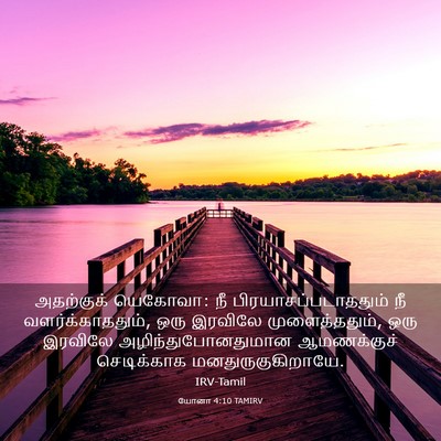 Picture 03 - யோனா 4:10 TAMIRV - அதற்குக் யெகோவா: - Bible Verse Picture