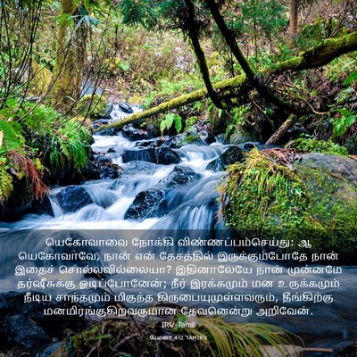 Picture 03 - யோனா 4:2 TAMIRV - யெகோவாவை நோக்கி - Bible Verse Picture