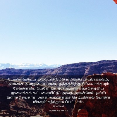 Picture 03 - யோனா 4:6 TAMIRV - யோனாவுடைய - Bible Verse Picture