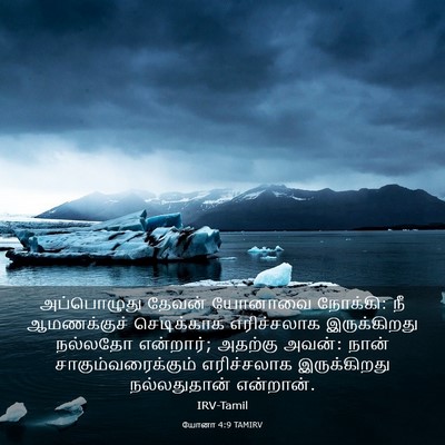 Picture 03 - யோனா 4:9 TAMIRV - அப்பொழுது தேவன் - Bible Verse Picture