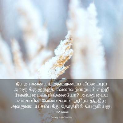 Picture 03 - யோபு 1:10 TAMIRV - நீர் அவனையும் - Bible Verse Picture