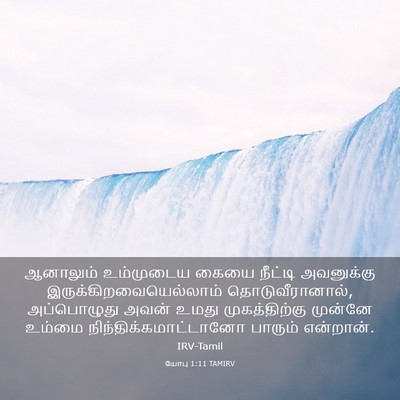 Picture 03 - யோபு 1:11 TAMIRV - ஆனாலும் உம்முடைய - Bible Verse Picture
