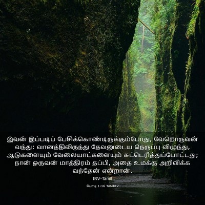 Picture 03 - யோபு 1:16 TAMIRV - இவன் இப்படிப் - Bible Verse Picture