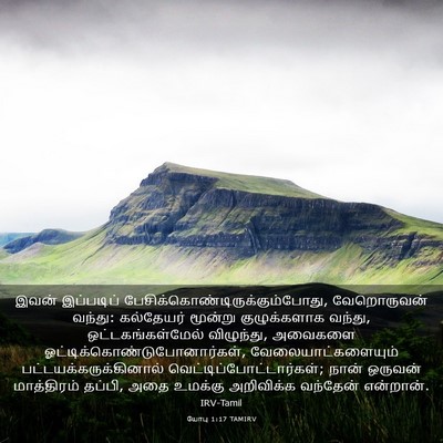 Picture 03 - யோபு 1:17 TAMIRV - இவன் இப்படிப் - Bible Verse Picture