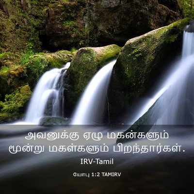 Picture 03 - யோபு 1:2 TAMIRV - அவனுக்கு ஏழு - Bible Verse Picture