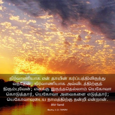 Picture 03 - யோபு 1:21 TAMIRV - நிர்வாணியாக என் - Bible Verse Picture