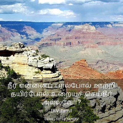 Picture 03 - யோபு 10:10 TAMIRV - நீர் என்னைப் - Bible Verse Picture
