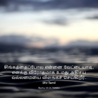 Picture 03 - யோபு 10:16 TAMIRV - சிங்கத்தைப்போல - Bible Verse Picture