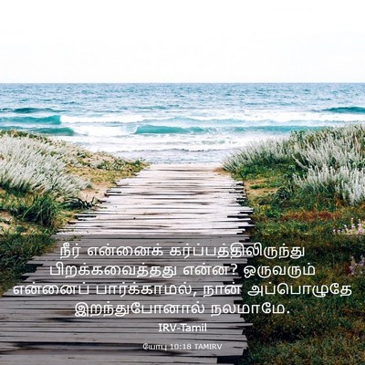 Picture 03 - யோபு 10:18 TAMIRV - நீர் என்னைக் - Bible Verse Picture