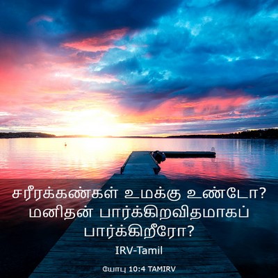 Picture 03 - யோபு 10:4 TAMIRV - சரீரக்கண்கள் - Bible Verse Picture