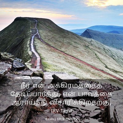 Picture 03 - யோபு 10:5 TAMIRV - நீர் என் - Bible Verse Picture