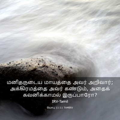 Picture 03 - யோபு 11:11 TAMIRV - மனிதருடைய மாயத்தை - Bible Verse Picture