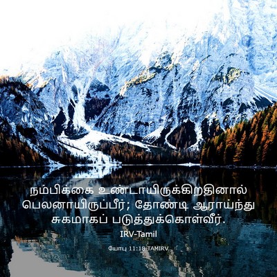 Picture 03 - யோபு 11:18 TAMIRV - நம்பிக்கை - Bible Verse Picture