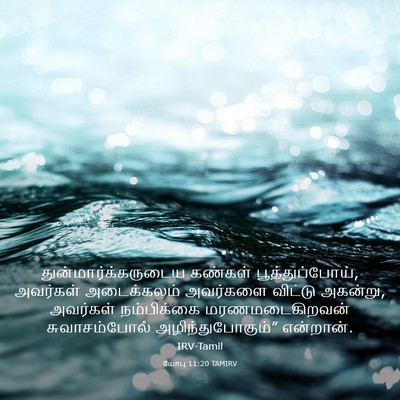 Picture 03 - யோபு 11:20 TAMIRV - துன்மார்க்கருடைய - Bible Verse Picture