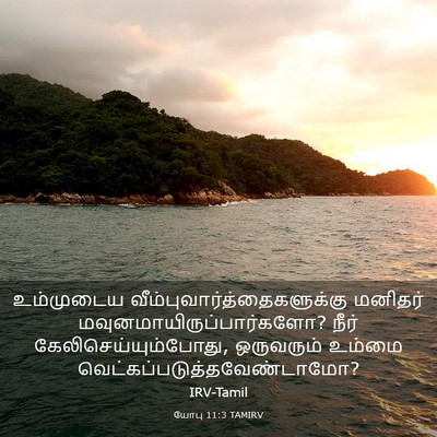 Picture 03 - யோபு 11:3 TAMIRV - உம்முடைய - Bible Verse Picture