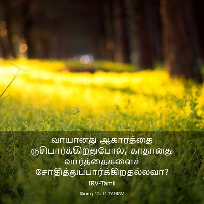 Picture 03 - யோபு 12:11 TAMIRV - வாயானது ஆகாரத்தை - Bible Verse Picture