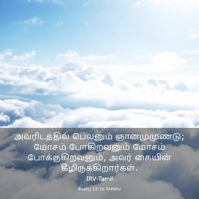 Picture 03 - யோபு 12:16 TAMIRV - அவரிடத்தில் - Bible Verse Picture