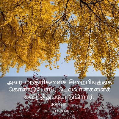 Picture 03 - யோபு 12:19 TAMIRV - அவர் மந்திரிகளைச் - Bible Verse Picture