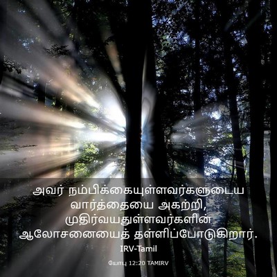 Picture 03 - யோபு 12:20 TAMIRV - அவர் - Bible Verse Picture