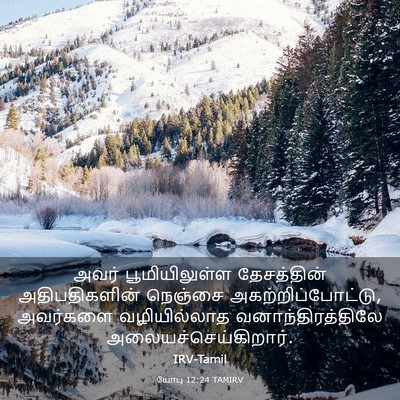 Picture 03 - யோபு 12:24 TAMIRV - அவர் பூமியிலுள்ள - Bible Verse Picture