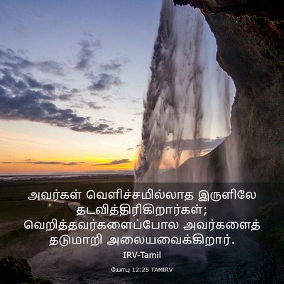 Picture 03 - யோபு 12:25 TAMIRV - அவர்கள் - Bible Verse Picture