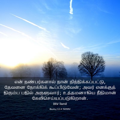 Picture 03 - யோபு 12:4 TAMIRV - என் நண்பர்களால் - Bible Verse Picture