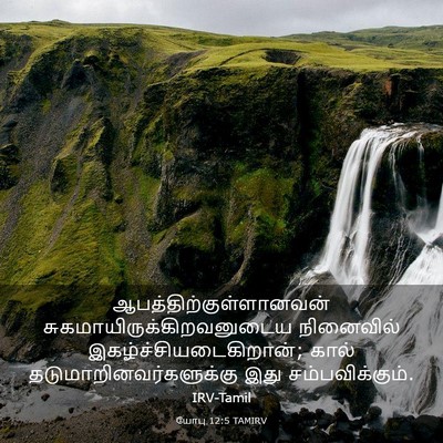 Picture 03 - யோபு 12:5 TAMIRV -  - Bible Verse Picture