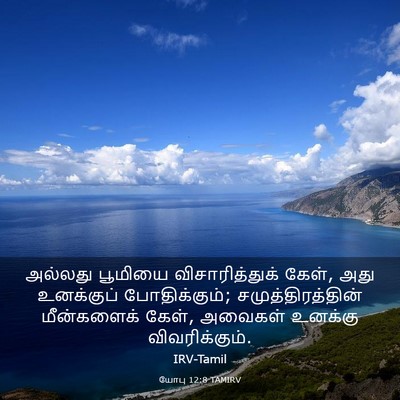 Picture 03 - யோபு 12:8 TAMIRV - அல்லது பூமியை - Bible Verse Picture