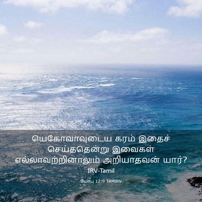 Picture 03 - யோபு 12:9 TAMIRV - யெகோவாவுடைய கரம் - Bible Verse Picture
