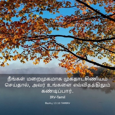Picture 03 - யோபு 13:10 TAMIRV - நீங்கள் மறைமுகமாக - Bible Verse Picture