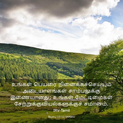 Picture 03 - யோபு 13:12 TAMIRV - உங்கள் பெயரை - Bible Verse Picture