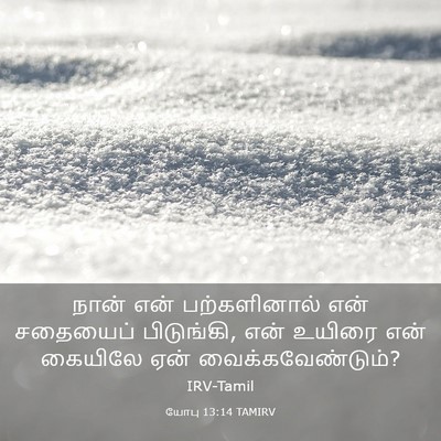 Picture 03 - யோபு 13:14 TAMIRV - நான் என் - Bible Verse Picture