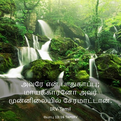 Picture 03 - யோபு 13:16 TAMIRV - அவரே என் - Bible Verse Picture