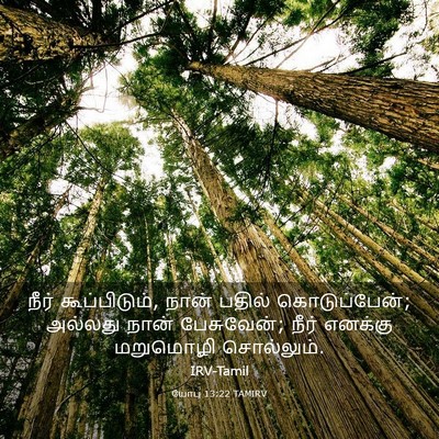 Picture 03 - யோபு 13:22 TAMIRV - நீர் கூப்பிடும், - Bible Verse Picture
